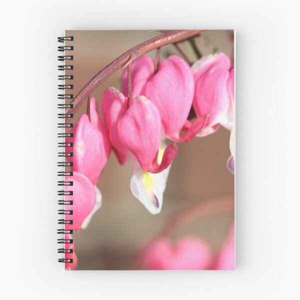Item preview, Bleeding hearts designed and sold by GreyFeatherPhot.
