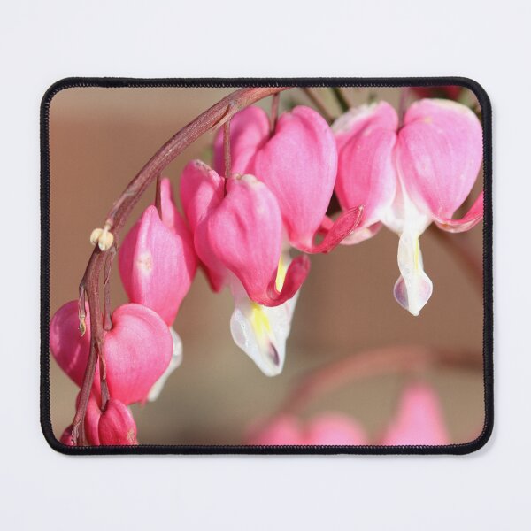 Item preview, Bleeding hearts designed and sold by GreyFeatherPhot.