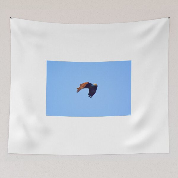 Item preview, Bald Eagle In Flight designed and sold by LisaWootenPhoto.