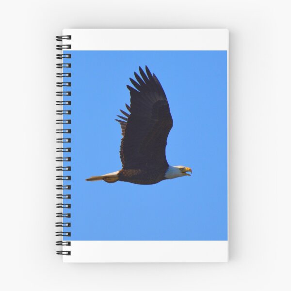 Item preview, Bald Eagle designed and sold by LisaWootenPhoto.