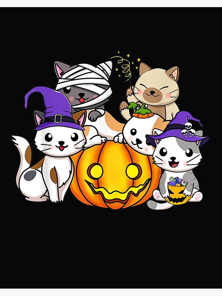 witch cat  Pretty cats, Silly cats, Cats