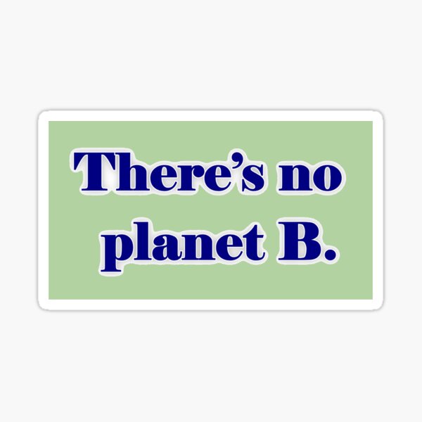 There's No Planet B Sticker