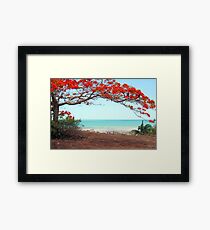 Flame Tree Framed Print