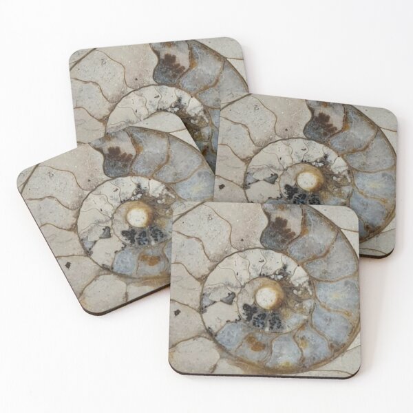Item preview, Jurassic Coast ammonite designed and sold by Kerrie Owens.