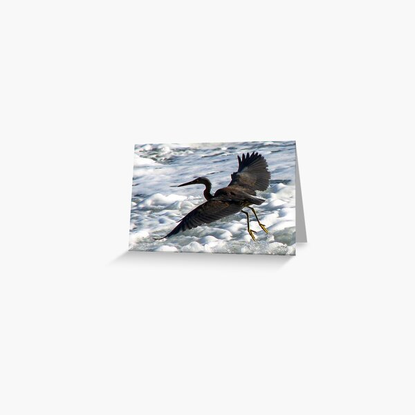 BON VOYAGE Greeting Card