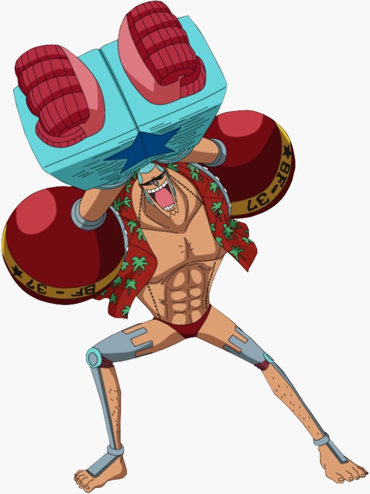 One piece: Heart of gold Franky  One piece tumblr, Character