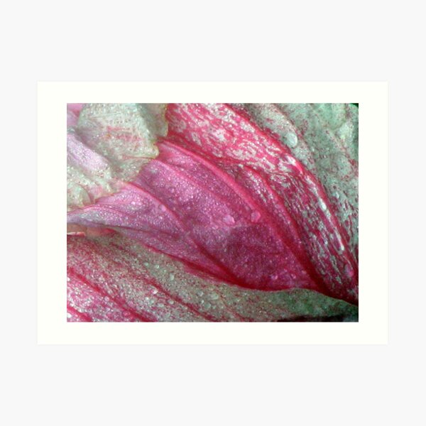 Leaf Life End 2 Art Print