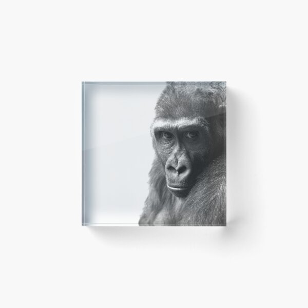 Item preview, Gorilla girl designed and sold by BogsuckerDesign.