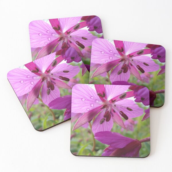 Item preview, Alaskan Wildflower designed and sold by WillowTeaHouse.