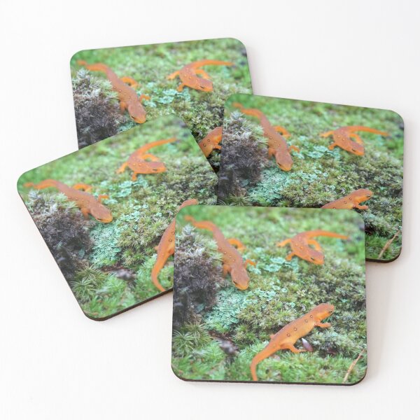 Item preview, A meeting of the newts designed and sold by BogsuckerDesign.