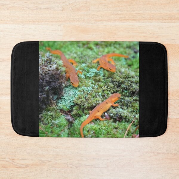 Item preview, A meeting of the newts designed and sold by BogsuckerDesign.