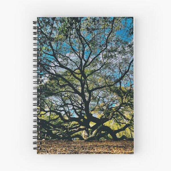 Item preview, Charleston Angel Oak designed and sold by MiddleJourney.