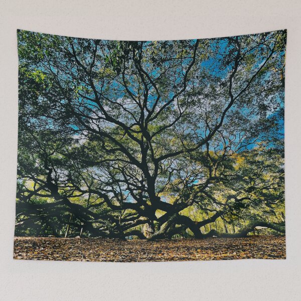 Item preview, Charleston Angel Oak designed and sold by MiddleJourney.