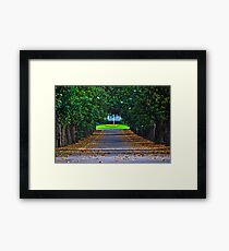 Augusta National Golf Club Framed Print