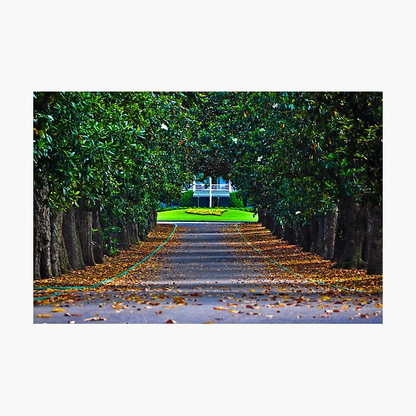 Augusta National Golf Club Photographic Print