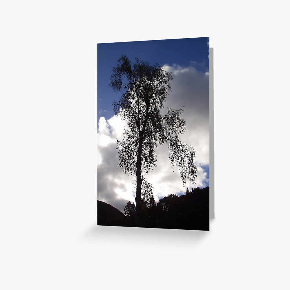 Tree Greeting Card