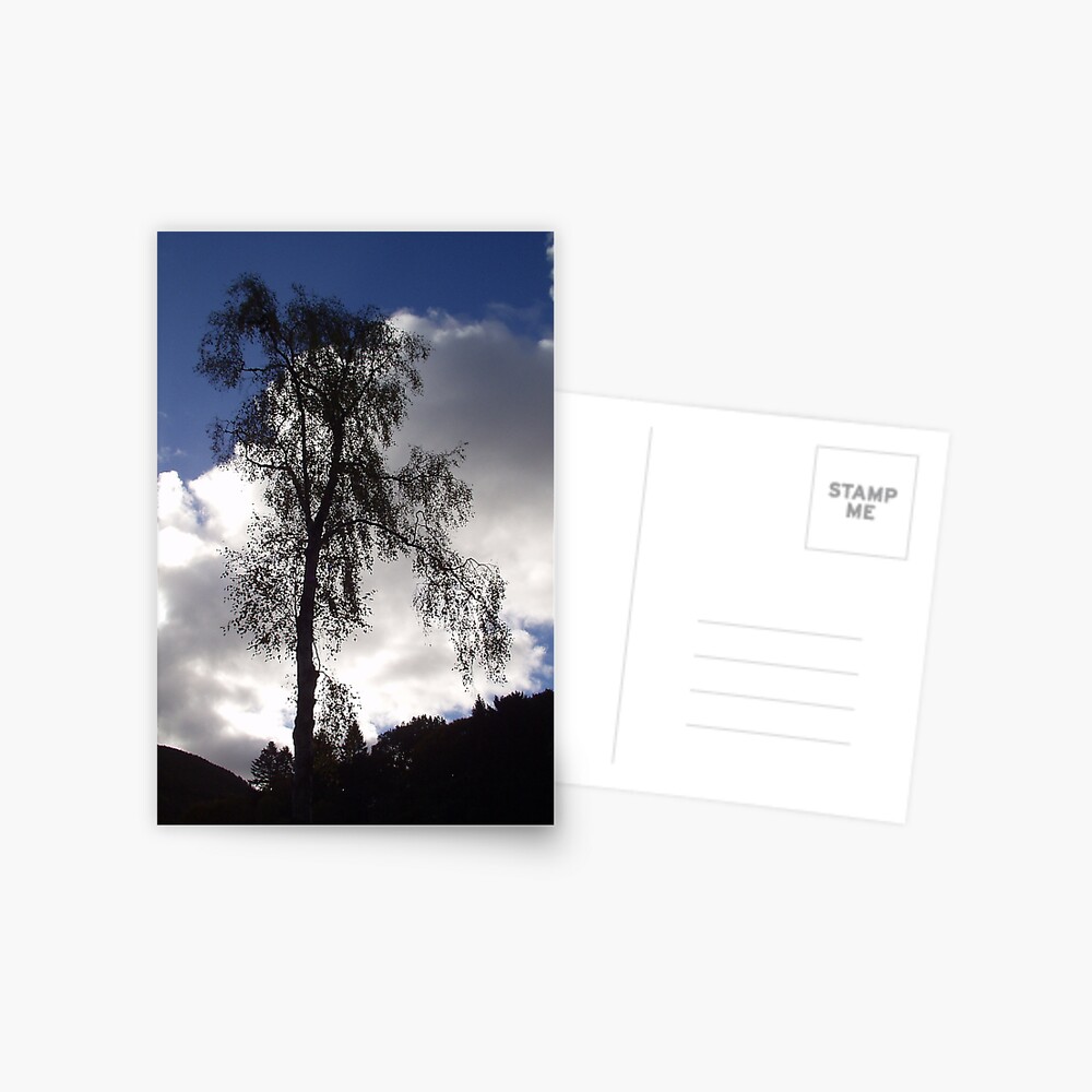 Tree Postcard