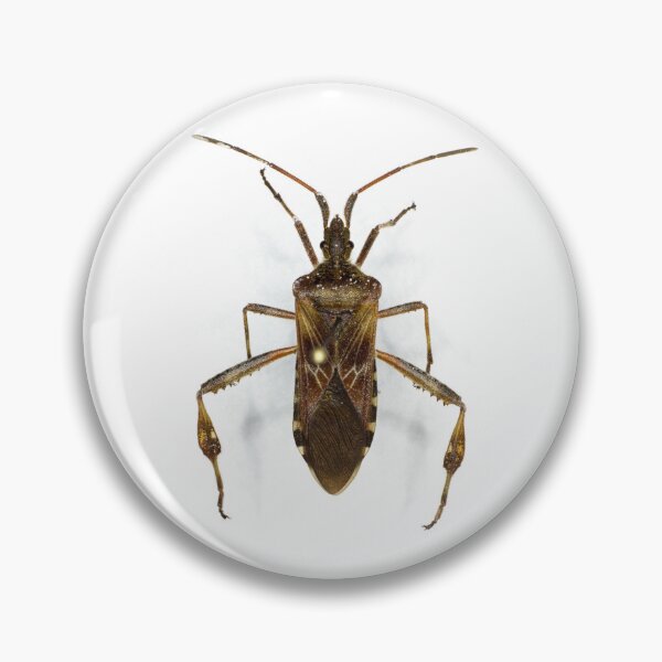 Item preview, Western Conifer Seed Bug (Leptoglossus occidentalis) designed and sold by minorshrimp.