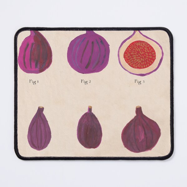 Item preview, Fig botanical print designed and sold by Highdown73.