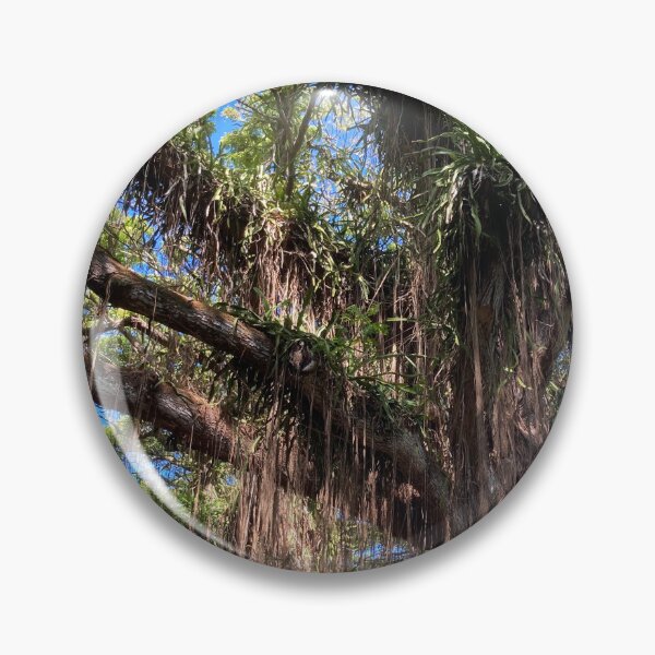 Item preview, Banyan Tree designed and sold by GilmorePhotos.