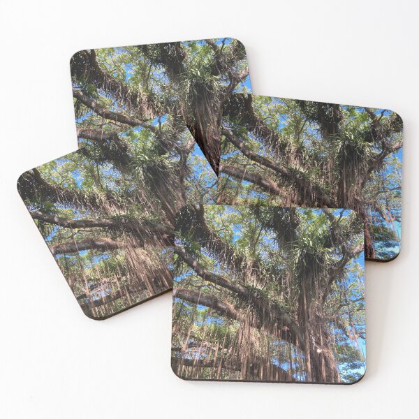 Item preview, Banyan Tree designed and sold by GilmorePhotos.