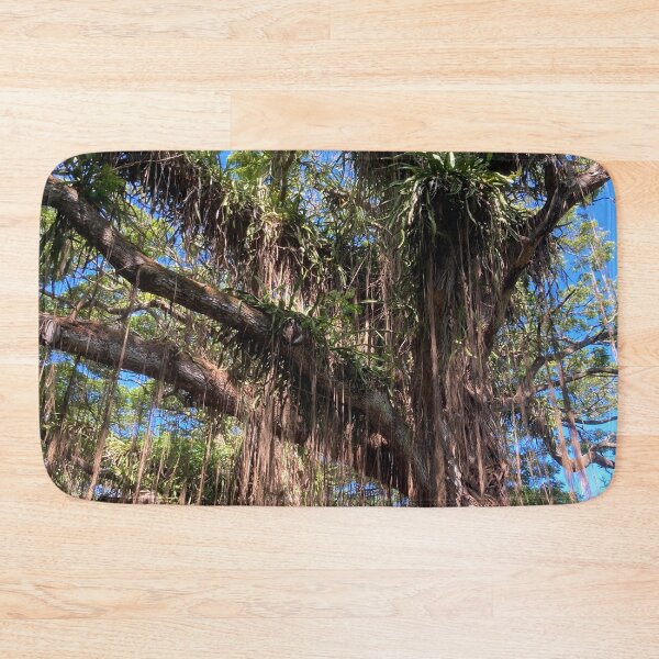 Item preview, Banyan Tree designed and sold by GilmorePhotos.