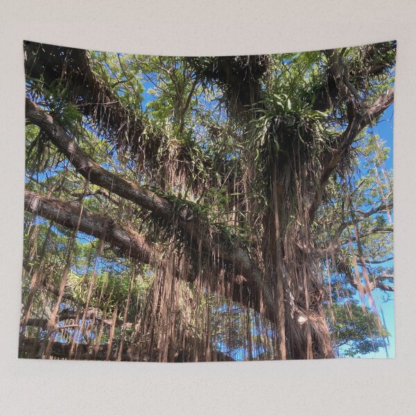 Item preview, Banyan Tree designed and sold by GilmorePhotos.