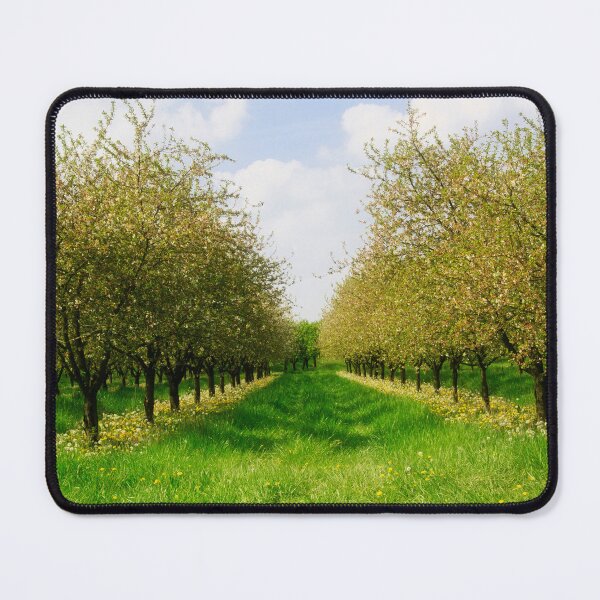 Item preview, Fruity Promise designed and sold by maureen bracewell.