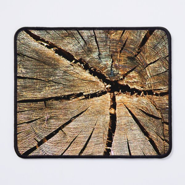 Item preview, Cross-section Old Pine Tree Trunk Organic Wood Texture designed and sold by worldways.