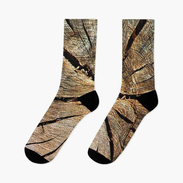 Item preview, Cross-section Old Pine Tree Trunk Organic Wood Texture designed and sold by worldways.