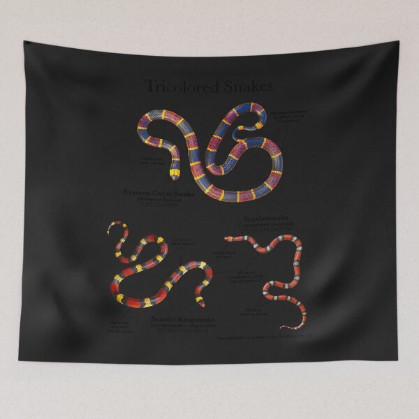 Item preview, Serpientes tricolores designed and sold by JeremyLebsack.