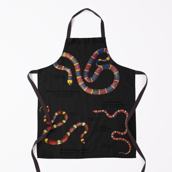 Item preview, Serpientes tricolores designed and sold by JeremyLebsack.