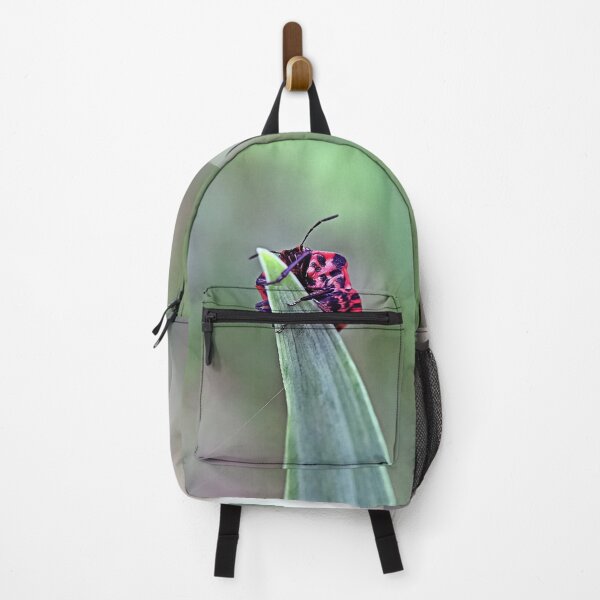 Item preview, Macro Black-Red Striped Bug on Green Leaf - Funny Pop Art Insects Gift designed and sold by r-silver.