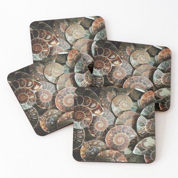 Item preview, Ammonite bundle designed and sold by Kerrie Owens.