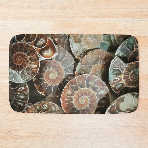 Item preview, Ammonite bundle designed and sold by Kerrie Owens.