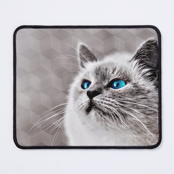 Item preview, Turquoise Eyes designed and sold by Susan Maxwell Schmidt.