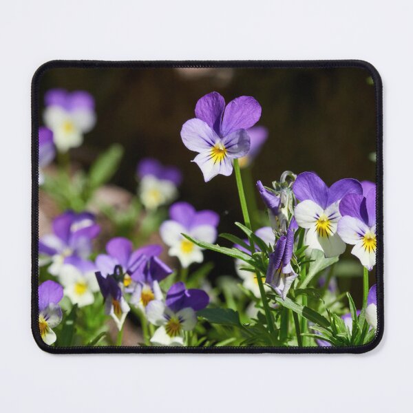 Item preview, Heartsease group designed and sold by Jouko Lehto Photography.
