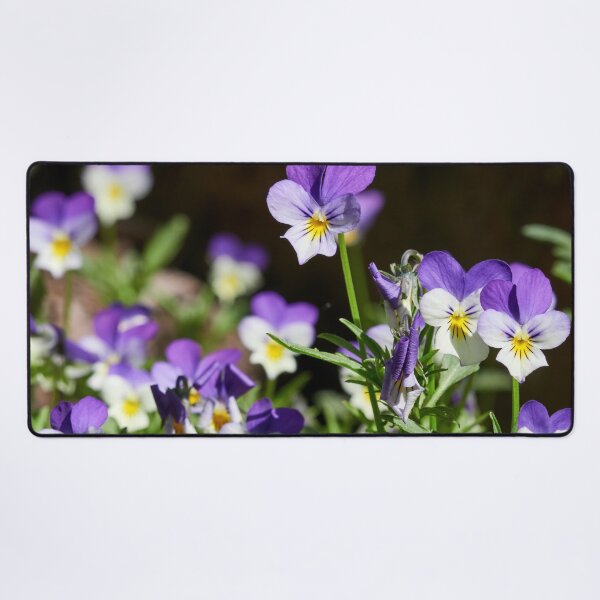 Item preview, Heartsease group designed and sold by Jouko Lehto Photography.