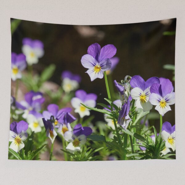 Item preview, Heartsease group designed and sold by Jouko Lehto Photography.