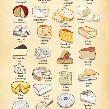 53 Different Types Of Cheese Varieties From A to Z (With Photos!)