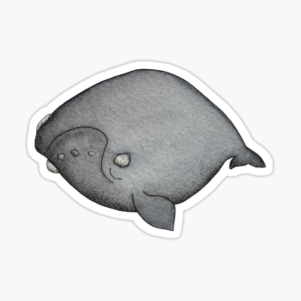 Sleepy right whale Sticker