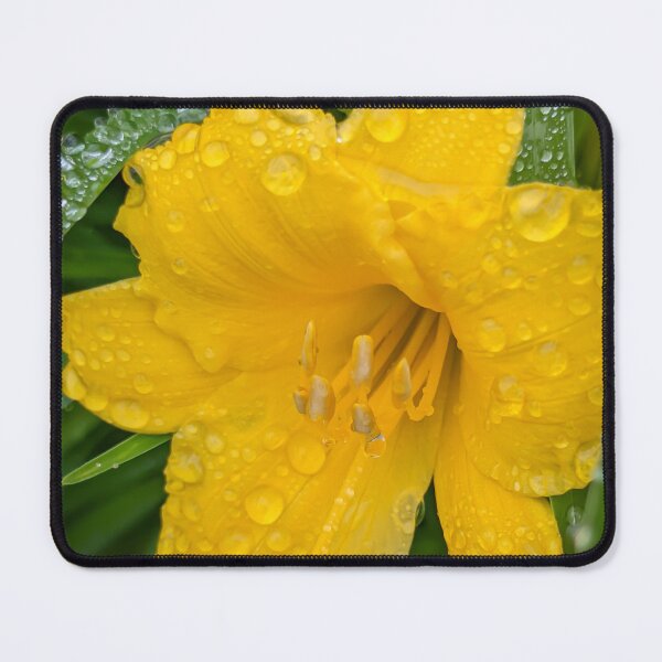 Item preview, Painterly flower 5 designed and sold by KCAbdelnour.