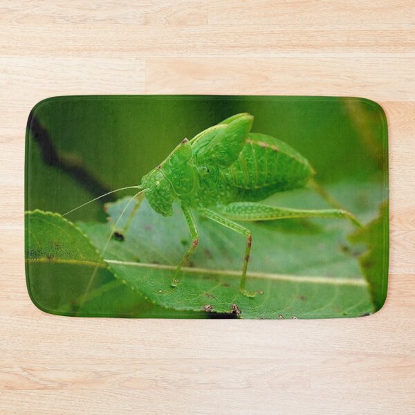 Item preview, Green Katydid designed and sold by Dead-Moroz.