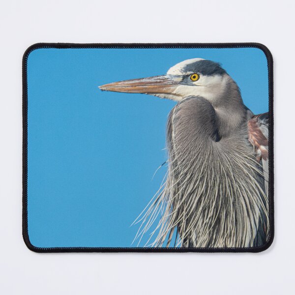 Item preview, Great Blue Heron designed and sold by KensLensDesigns.
