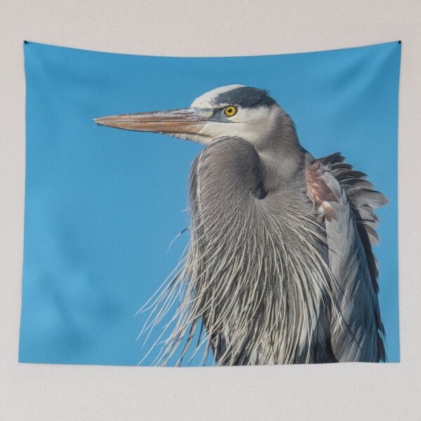 Item preview, Great Blue Heron designed and sold by KensLensDesigns.
