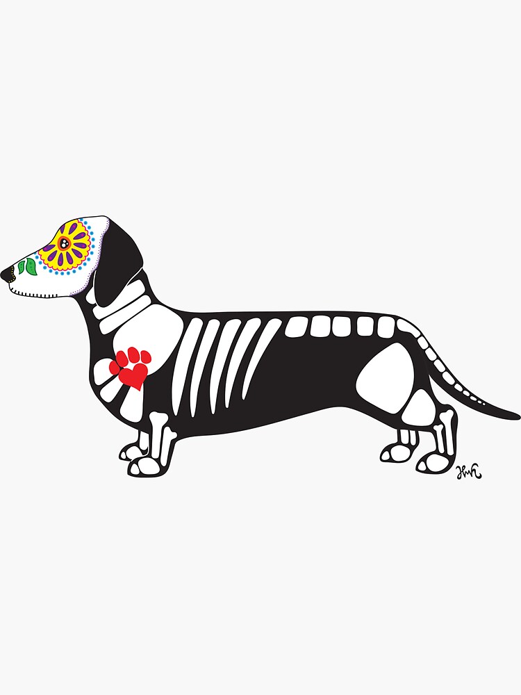 Dachshund skull hotsell