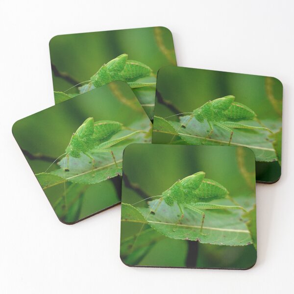 Item preview, Green Katydid designed and sold by Dead-Moroz.
