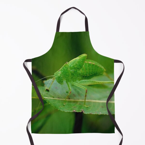 Item preview, Green Katydid designed and sold by Dead-Moroz.
