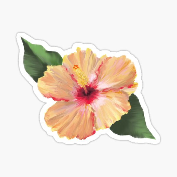 Hibiscus Sticker