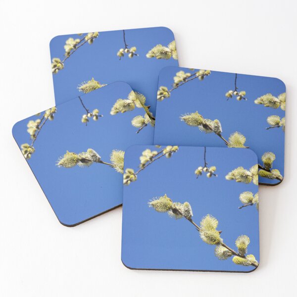 Item preview, Pussy willow against blue sky designed and sold by riku05830.